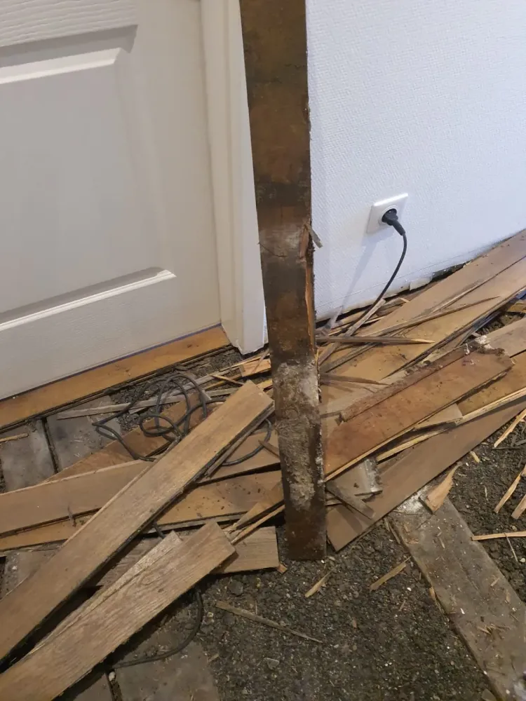 Avant - Pose d'un parquet contrecollé à Strasbourg (3webp