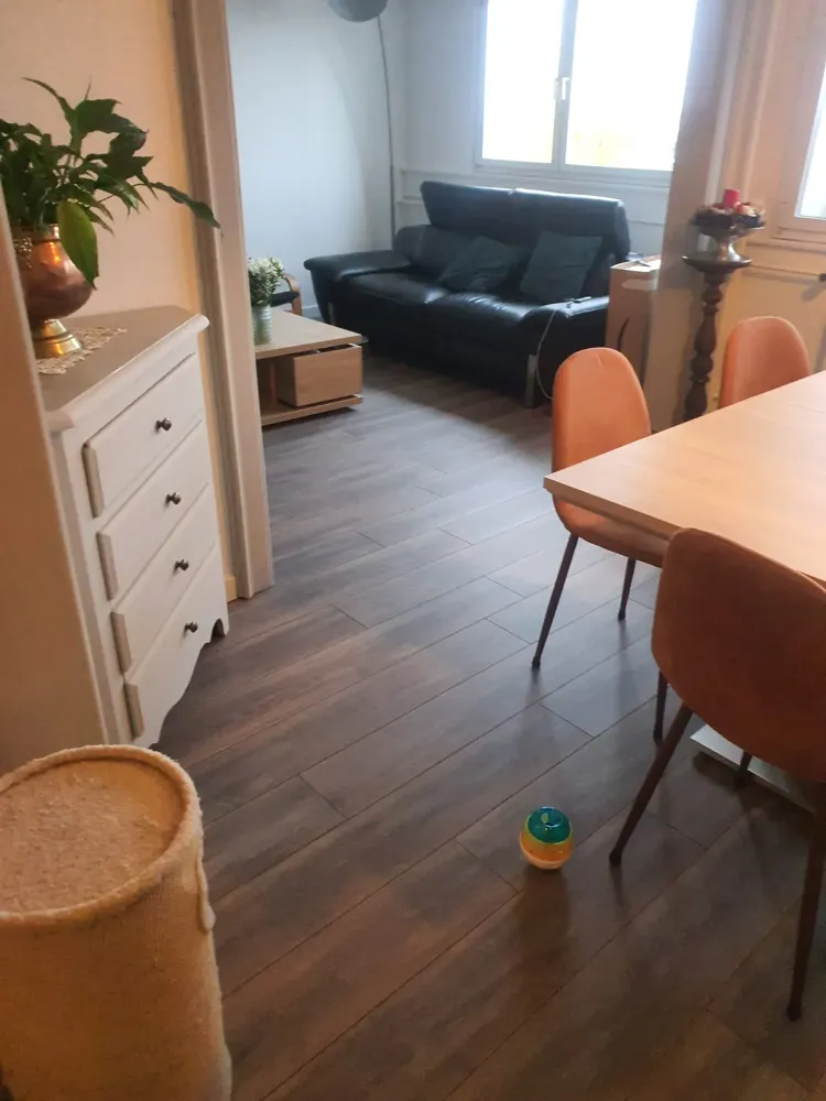 Pose d'un stratifié (1)