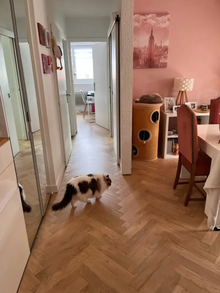 Pose d’un parquet contrecollé à Niederhausbergen webp