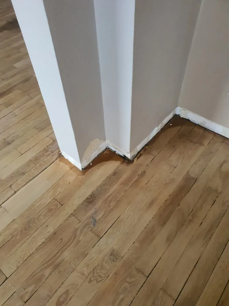 Ponçage d'un parquet & pose de plinthes à Strasbourg