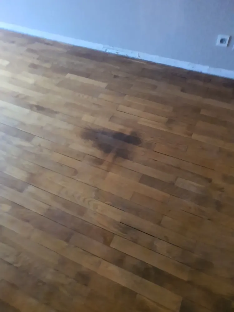 Ponçage d'un parquet & pose de plinthes à Strasbourg
