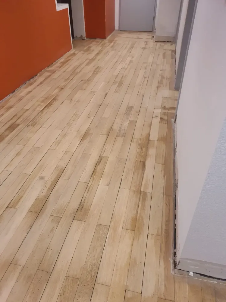 Ponçage et vitrification d'un parquet (1)