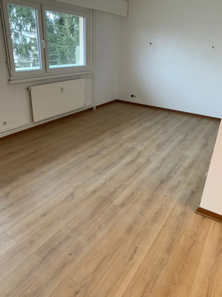 Avant - Pose d’un minéral à Illkirch Graffenstaden webp