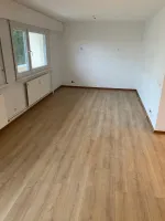 Avant - Pose d’un minéral à Illkirch Graffenstaden webp
