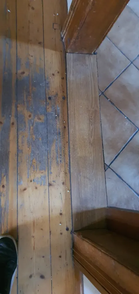 Rénovation et ponçage d’un parquet à Bischeim