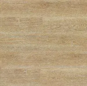 Trendline Groovy Vivaldi